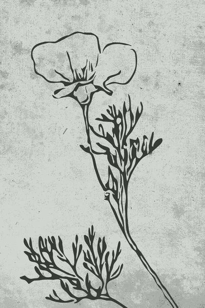 Βοτανική Τέχνη Τοίχου Γραμμική Τέχνη Των Φυτών Σχέδιο Αφηρημένο Σχήμα — Φωτογραφία Αρχείου