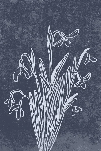 Botanical Wall Art Line Art Plants Drawing Abstract Shape Abstract — Stock Photo, Image