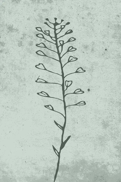 Arte Parede Botânica Arte Linha Plantas Desenho Com Forma Abstrata — Fotografia de Stock