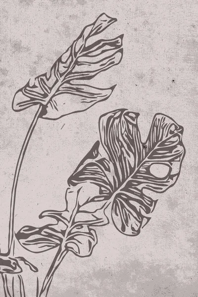 Botanikus Falművészet Növények Vonalművészete Absztrakt Formájú Rajz Kivonat Virágos Design — Stock Fotó