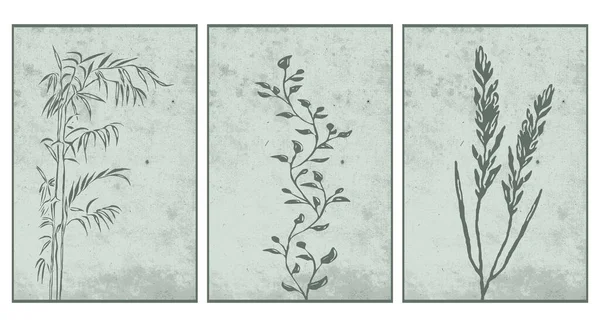 Set Botanischer Wandkunst Linienkunst Von Pflanzen Zeichnung Mit Abstrakter Form — Stockvektor