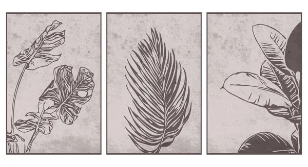Set Botanical Wall Art Line Art Plants Drawing Abstract Shape — Stock Vector