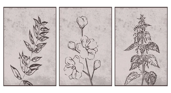 Conjunto Arte Pared Botánica Línea Arte Las Plantas Dibujo Con — Vector de stock