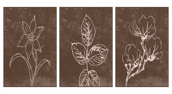 Uppsättning Botanisk Väggkonst Linjekonst Växter Teckning Med Abstrakt Form Mönster — Stock vektor