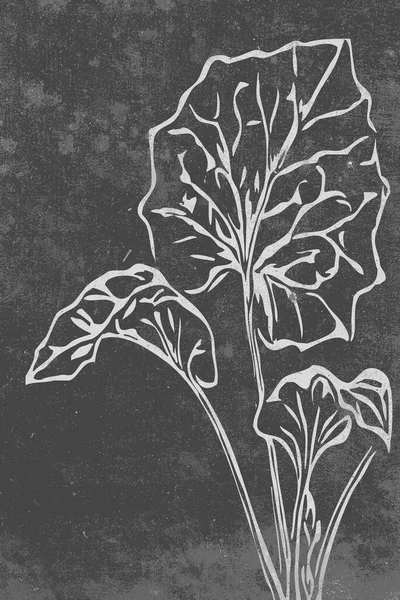 Botanikus Falművészet Növények Vonalművészete Absztrakt Formájú Rajz Kivonat Virágos Design — Stock Fotó