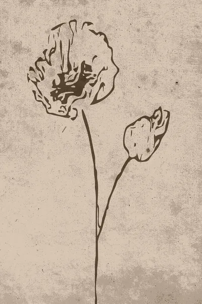 Βοτανική Τέχνη Τοίχου Γραμμική Τέχνη Των Φυτών Σχέδιο Αφηρημένο Σχήμα — Φωτογραφία Αρχείου