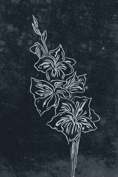 Botanische Wandkunst Linienkunst Von Pflanzen Zeichnung Mit Abstrakter Form Abstraktes — Stockfoto