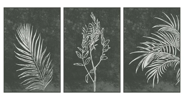 Набір Нейтрального Настінного Мистецтва Ботанічна Формула Друкована Ілюстрація Сучасне Сільське — стоковий вектор