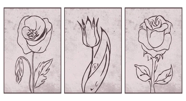 Набор Нейтральных Настенных Рисунков Ботаническая Формула Печатные Иллюстрации Современная Ржавая — стоковый вектор
