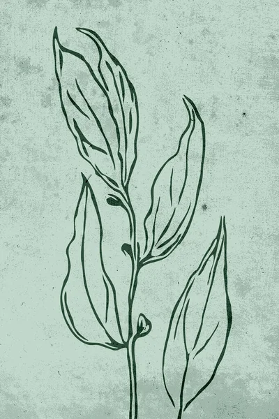 Arte Parede Neutra Ilustração Botânica Imprimível Decoração Parede Rústica Moderna — Fotografia de Stock