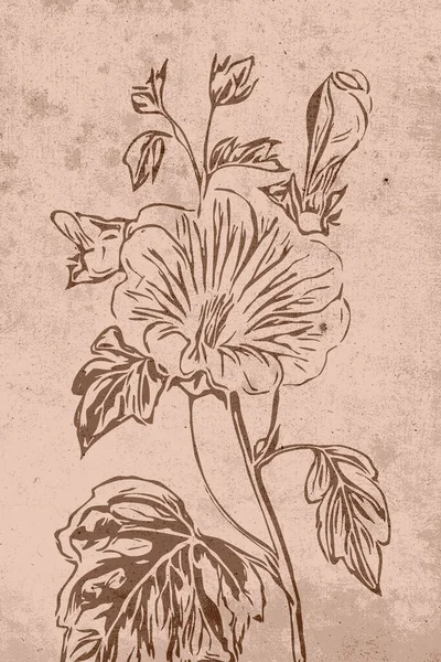 Semleges Falművészet Nyomtatható Botanikai Illusztráció Modern Rusztikus Faldekoráció Szobának Modern — Stock Fotó