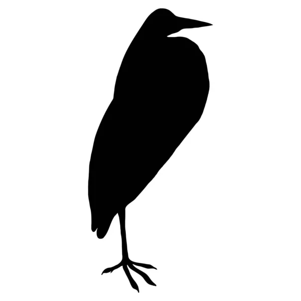 Векторная Иллюстрация Животных Черный Силуэт Цапли Белом Фоне — стоковый вектор