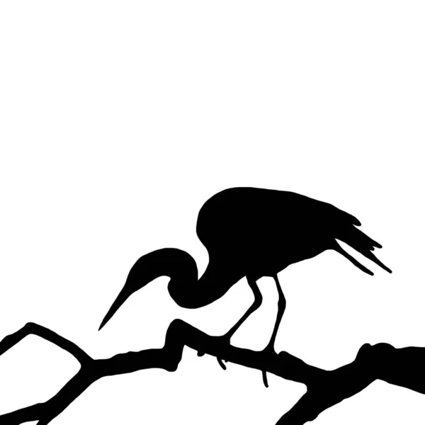 Vector Animal Illustration Black Silhouette Heron White Background — Stock Vector