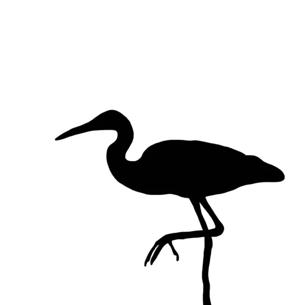 病媒动物图解 白底苍鹭的黑色轮廓 — 图库矢量图片