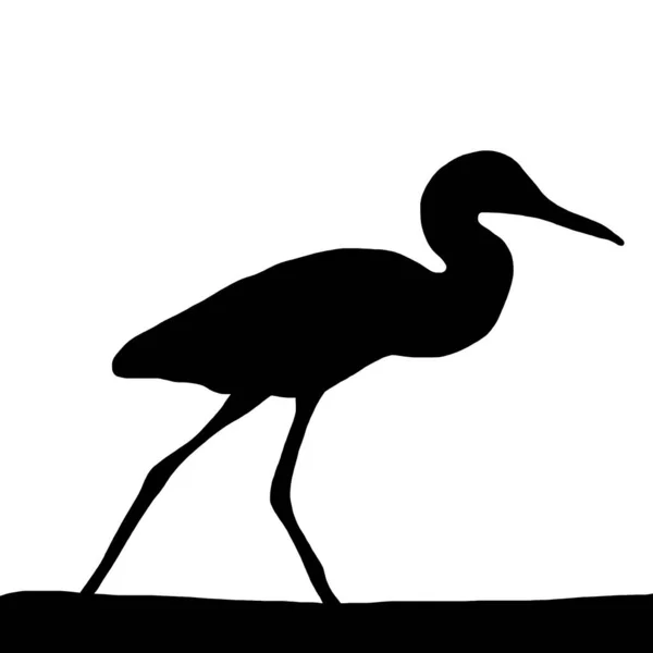 Illustration Vectorielle Animale Silhouette Noire Héron Sur Fond Blanc — Image vectorielle
