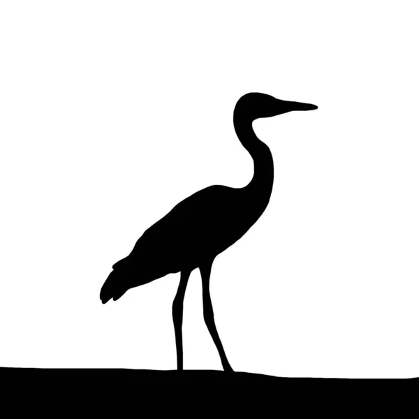 Vector Dierlijke Illustratie Zwart Silhouet Van Een Reiger Een Witte — Stockvector