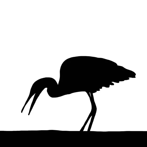 Illustration Vectorielle Animale Silhouette Noire Héron Sur Fond Blanc — Image vectorielle