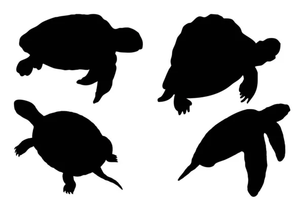 Illustration Vectorielle Silhouette Noire Une Tortue Sur Fond Blanc — Image vectorielle