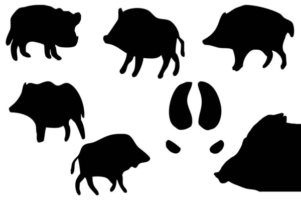 Векторная Иллюстрация Животных Черный Силуэт Кабана Белом Фоне — стоковый вектор