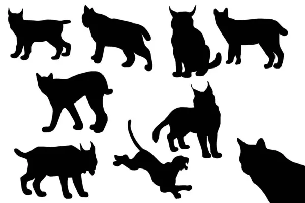 Vector Animal Illustration Black Silhouette Lynx White Background — Stock Vector