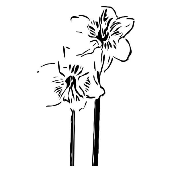 Botanisk Vektorgrafik Skissritning Mönster För Din Design Linjekonst Blomma Vit — Stock vektor