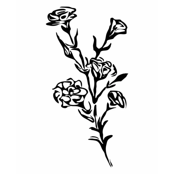Botanisk Vektorgrafik Skissritning Mönster För Din Design Linjekonst Blommor Vit — Stock vektor