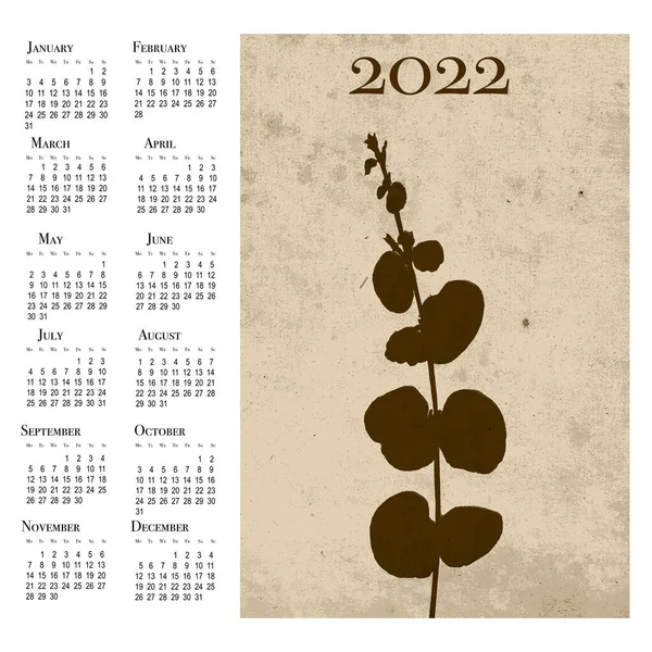 Calendário Botânico Para 2022 Calendário Parede Imprimível Semana Começa Segunda — Fotografia de Stock