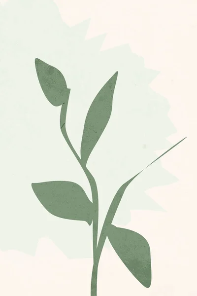 Arte Parede Neutra Ilustração Botânica Imprimível Decoração Parede Moderna Para — Fotografia de Stock