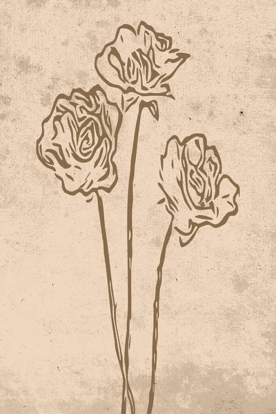 Semleges Falművészet Nyomtatható Botanikai Illusztráció Modern Rusztikus Faldekoráció Szobának Modern — Stock Fotó