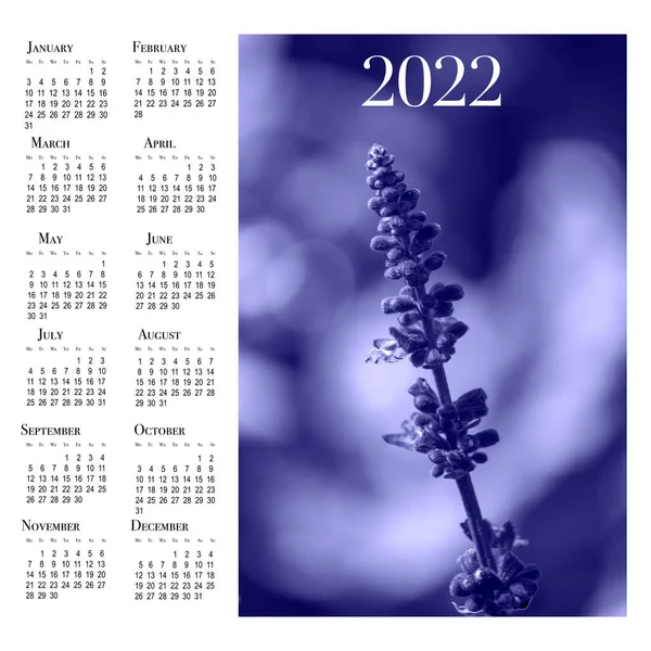 Cartão Calendário Para 2022 Flores Cor Roxa Moda 2022 — Fotografia de Stock