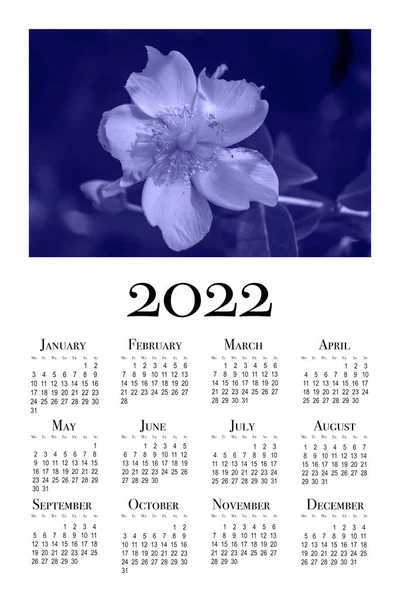 Cartão Calendário Para 2022 Flores Cor Roxa Moda 2022 — Fotografia de Stock