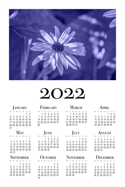 Kalenderkarte Für 2022 Blumen Der Modischen Lila Farbe Von 2022 — Stockfoto