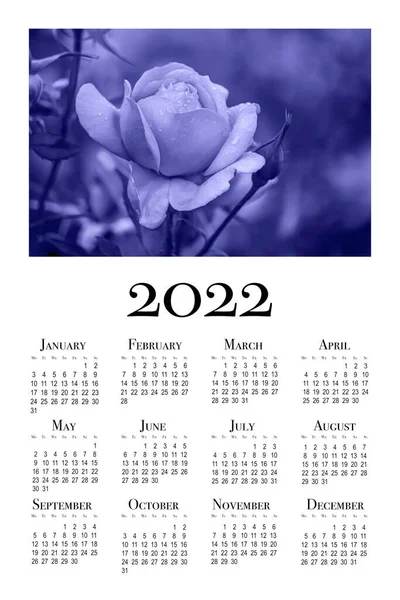 Cartão Calendário Para Ano 2022 Rosa Uma Cor Roxa Moda — Fotografia de Stock