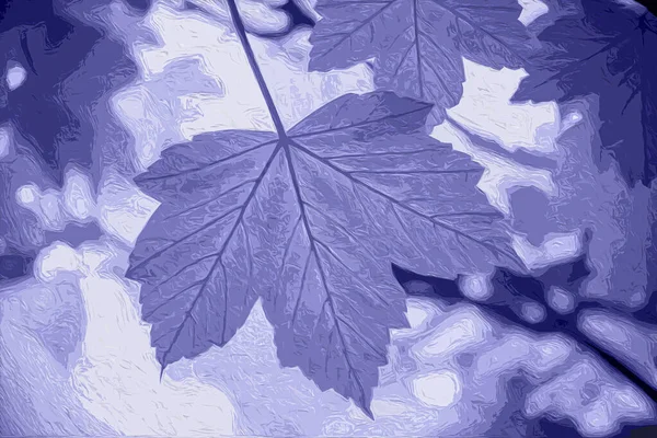 Botanical Illustration Trendy Purple Very Peri Color Year 2022 Leaves — Stock Photo, Image