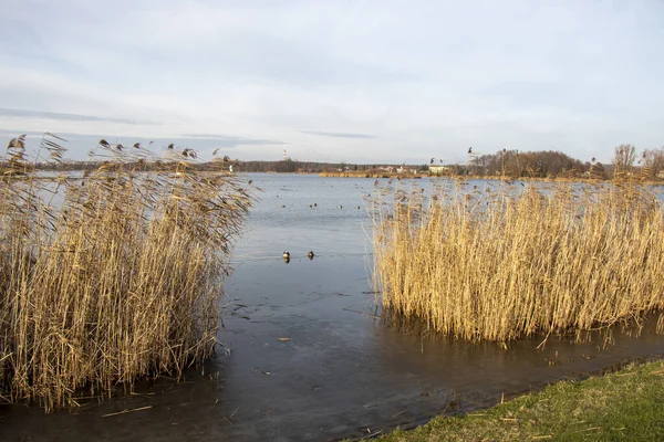 Landscape Lake Southern Poland Nature Landscape Nature — Stock Photo, Image