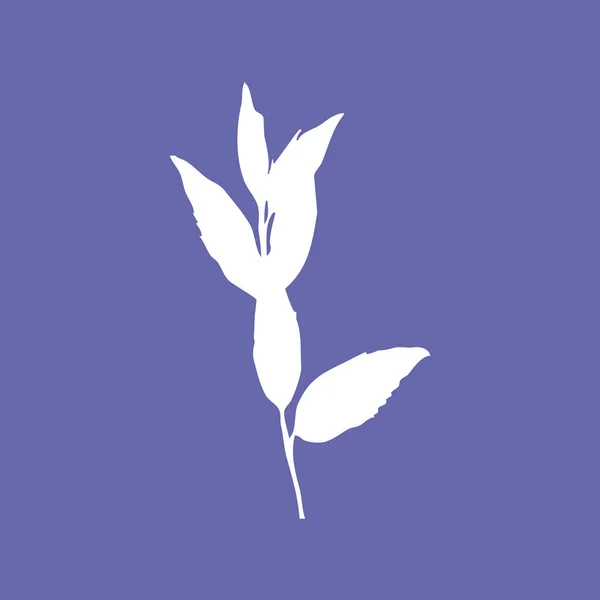 Illustration Botanique Violet Tendance Pour Année 2022 Décorations Murales Dans — Photo