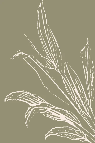 Artă Botanică Perete Desen Artă Linie Formă Abstractă Model Botanic — Fotografie, imagine de stoc