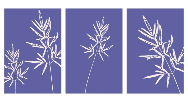 Набор Ботанических Настенных Рисунков Линейный Рисунок Абстрактной Формы Абстрактный Ботанический — стоковый вектор
