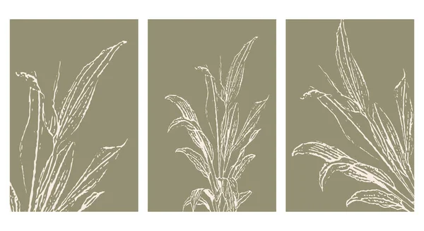 Set Botanischer Wandkunst Linienzeichnung Mit Abstrakter Form Abstraktes Botanisches Muster — Stockvektor