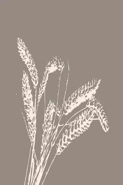Ботаническое Настенное Искусство Линейный Рисунок Абстрактной Формы Абстрактный Ботанический Рисунок — стоковое фото