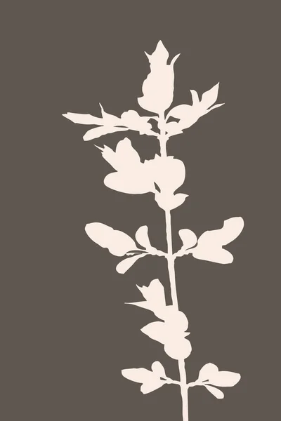 Botanisk Väggkonst Linjeteckning Med Abstrakt Form Abstrakt Botaniskt Mönster För — Stockfoto