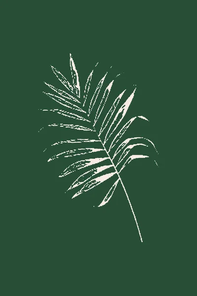 Botanisk Väggkonst Linjeteckning Med Abstrakt Form Abstrakt Botaniskt Mönster För — Stockfoto