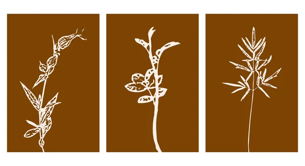 植物壁の芸術のセット 抽象的な形の線画 額装壁プリント キャンバスプリント ポスター 家の装飾のための抽象的な植物パターン — ストックベクタ