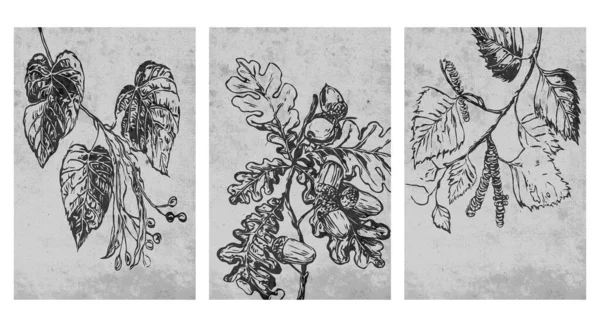 Набір Друкованих Ботанічних Ілюстрацій Сучасне Сільське Оздоблення Стін Кімнати Сучасний — стоковий вектор