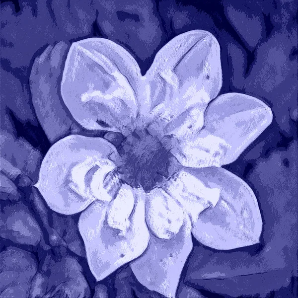 Illustrazione Botanica Viola Alla Moda Colore Molto Peri Dell Anno — Foto Stock