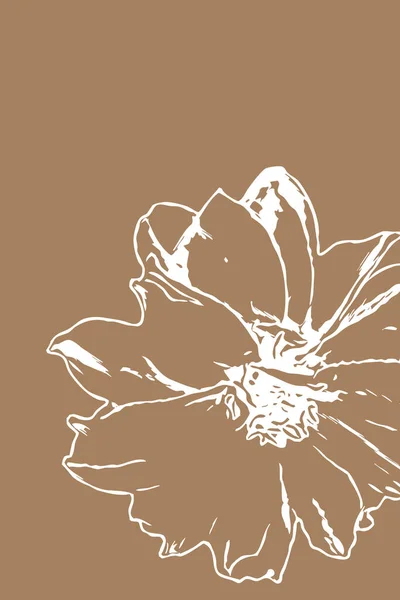 Nyomtatható Botanikai Illusztráció Minimalista Stílus Belsőépítészet Faldekoráció Fedőlap Tapéta — Stock Fotó