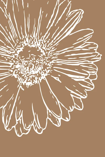 Друкована Ботанічна Ілюстрація Мінімалістичний Стиль Дизайн Інтер Єру Оздоблення Стін — стокове фото