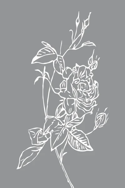Печатная Ботаническая Иллюстрация Минималистский Стиль Дизайн Интерьера Украшения Стен Дизайн — стоковое фото