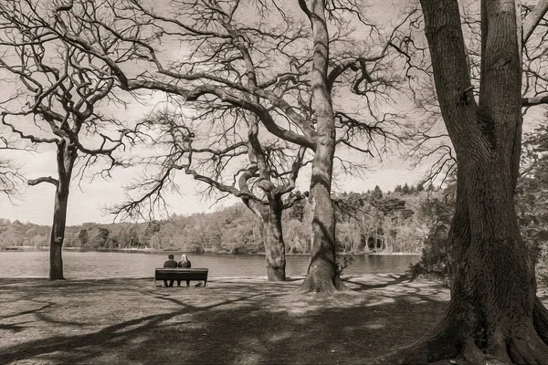 Reiseillustration Auf Leinwand Landschaft Einem Englischen Park Sutton Park West — Stockfoto