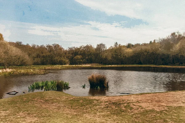 キャンバス上の旅行イラスト 英語公園の風景です サットンパーク West Midland England — ストック写真